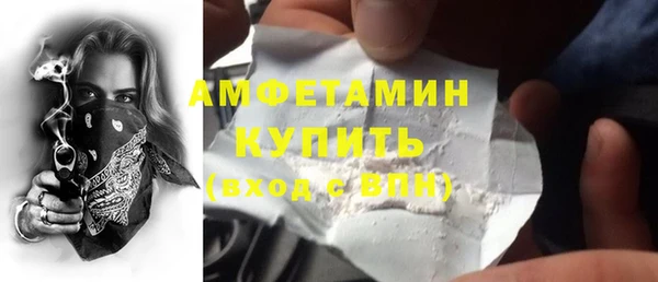 шишки Заволжье