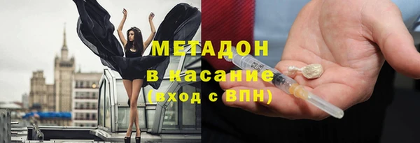 шишки Заволжье