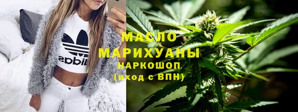 шишки Заволжье