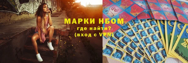 шишки Заволжье