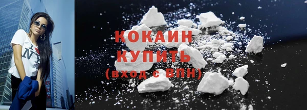 шишки Заволжье