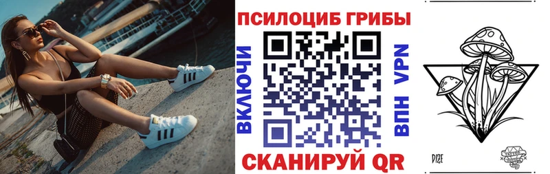 Псилоцибиновые грибы Psilocybine cubensis  Купить закладки  Заводоуковск 